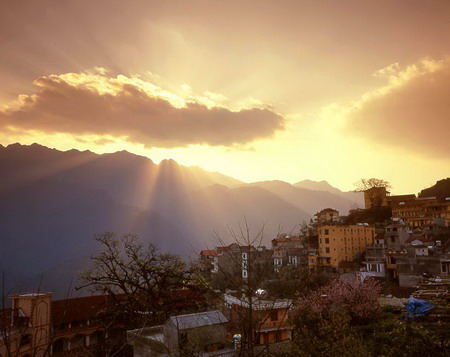 Sapa